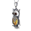Wise Owl Pendant Necklace in Sterling & Amber