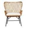 Wing Armchair in Rattan Weave & Black Metal Legs PAIR