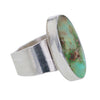 Oval Royston Turquoise Sterling Silver Navajo Ring by J Tso Size 9