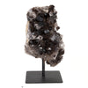 Smoky Quartz Points on Stand - v2