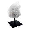 Natural Zeolite on Stand v2