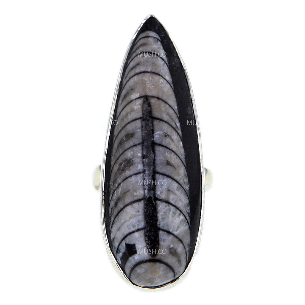 Adjustable Sterling Silver Orthoceras Fossil Ring v1