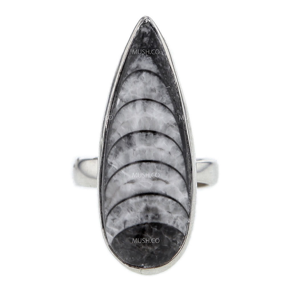 Adjustable Sterling Silver Orthoceras Fossil Ring v5
