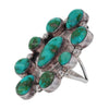 美麗的羅伊斯頓綠松石納瓦霍純銀戒指尺寸 7.5 