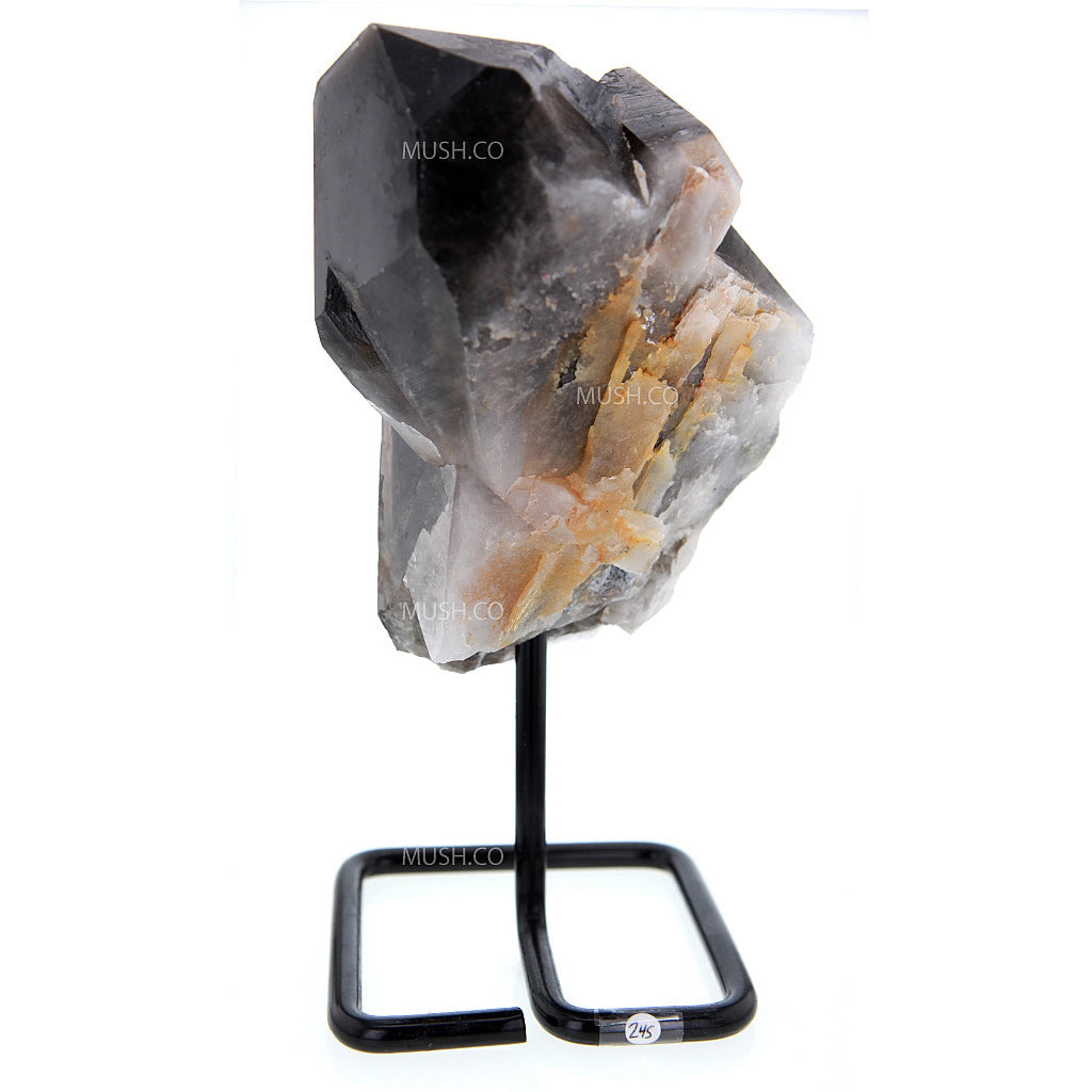 Smoky Quartz Points on Stand - v1 – MUSH.CO